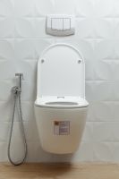 Унитаз Alcora Encanto LT-046E-R подвесной с сиденьем Микролифт арт-49530 — фото 2, Подвесные унитазы