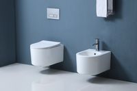 Товар: Унитаз-компакт подвесной безободковый AQUATEK МИЯ 490*370*340 мм, горизонтальный выпуск, т арт-AQ2004-00 - фото 11 Унитаз-компакт подвесной безободковый AQUATEK МИЯ 490*370*340 мм, горизонтальный выпуск, т арт-AQ2004-00 — фото 11, Подвесные унитазы