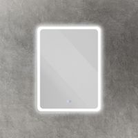 Зеркало с функцией памяти CEZARES арт-CZR-SPC-MC-600-800-RGB-TCH — фото 1, Зеркала в ванную комнату