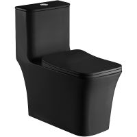 Унитаз моноблок Azario Gressa Черный матовый с бачком и сиденьем Микролифт арт-AZ-1111MB — фото 2, Напольные унитазы