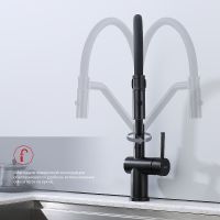 Смеситель для кухни Raglo Черный матовый арт-R86.41.06 — фото 5, Смесители для кухни