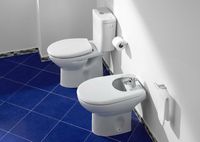 Унитаз компакт Roca Victoria без бачка и сиденья арт-34239U000 — фото 2, Напольные унитазы