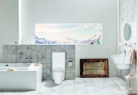 Унитаз компакт Creavit Amorf Белый без бачка и сиденья арт-AF310.00100 — фото 2, Напольные унитазы