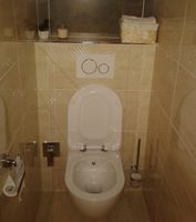 Унитаз биде Creavit Free подвесной Белый без сиденья арт-FE322-00CB00E-0000 — фото 6, Подвесные унитазы