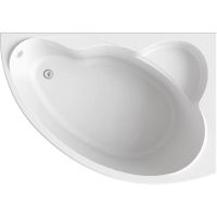 Акриловая ванна Bas Лагуна 170x110 R без гидромассажа арт-В 00020 — фото 1, Акриловые ванны