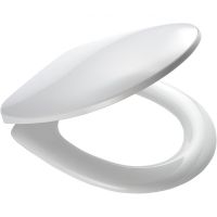 Сиденье для унитаза Ridder Denver Белое с Микролифтом арт-О2115101 — фото 1, Сиденья для унитаза