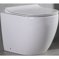 Унитаз CeramaLux приставной с сиденьем Микролифт арт-NS-3176 — фото 1, Приставные унитазы