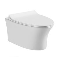 Унитаз CeramaLux подвесной с сиденьем Микролифт арт-CL-2100 — фото 1, Подвесные унитазы