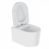 Унитаз Iddis Stone подвесной Белый арт-STORNSEi25 — фото 6, Подвесные унитазы