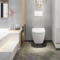 Унитаз подвесной безободковый CEZARES STYLUS-TOR арт-CZR-6601-TH-TOR/CZR-2011-SC — фото 8, Подвесные унитазы