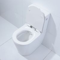 Товар: Унитаз компакт Orans WM9908 с бачком и сиденьем Микролифт арт-9908wm - фото 4 Унитаз компакт Orans WM9908 с бачком и сиденьем Микролифт арт-9908wm — фото 4, Напольные унитазы