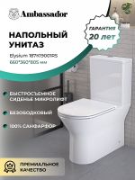 Унитаз компакт Ambassador Elysium с бачком и сиденьем Микролифт арт-187K19001RS — фото 5, Напольные унитазы