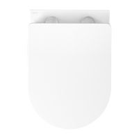 Унитаз подвесной безободковый AQUATEK ЕВРОПА 525*360*320 мм, белый матовый, горизонтальный арт-AQ1901-MW — фото 8, Подвесные унитазы