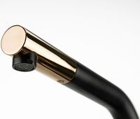 Товар: Смеситель для кухни Lemark Ursus Черный матовый Золото арт-LM7205BLR - фото 5 Смеситель для кухни Lemark Ursus Черный матовый Золото арт-LM7205BLR — фото 5, Смесители для кухни