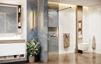 Товар: Душевая перегородка Ambassador Walk-in 110х200 профиль Черный стекло прозрачное арт-15031111 - фото 5 Душевая перегородка Ambassador Walk-in 110х200 профиль Черный стекло прозрачное арт-15031111 — фото 5, Душевые перегородки