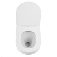 Унитаз подвесной безободковый CEZARES DUET арт-CZR-2462-TH-TOR/CZR-2316-SC — фото 6, Подвесные унитазы