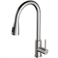 Смеситель для кухни Alveus Primrose PS Сатинированная сталь арт-1148261 — фото 1, Смесители для кухни