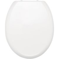 Сиденье для унитаза Ridder Toronto Белое с Микролифтом арт-О2114101 — фото 2, Сиденья для унитаза