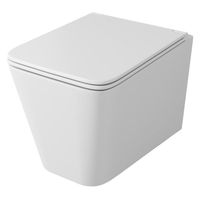 Унитаз Owl 1975 Vatter подвесной с сиденьем Микролифт арт-OWLT190401 — фото 1, Подвесные унитазы