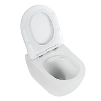 Унитаз подвесной безободковый CEZARES STYLUS-TOR арт-CZR-6601-TH-TOR/CZR-2316-SC — фото 3, Подвесные унитазы