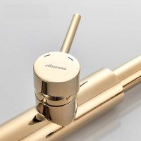 Смеситель для кухни Accoona Золото Черный арт-A4890WF-1 — фото 3, Смесители для кухни