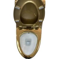 Унитаз биде Laguraty Золото с сиденьем Микролифт арт-2160ACGOLDEN — фото 4, Напольные унитазы