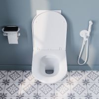 Унитаз Iddis Zodiac подвесной с сиденьем Микролифт арт-ZDCRDSEi25 — фото 6, Подвесные унитазы