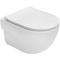 Унитаз Roca Meridian-N Rimless подвесной без сиденья арт-346244000 — фото 3, Подвесные унитазы