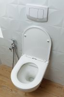 Унитаз Alcora Encanto LT-046E-R подвесной с сиденьем Микролифт арт-49530 — фото 4, Подвесные унитазы