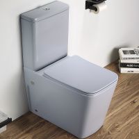 Унитаз компакт CeramaLux Голубой матовый с бачком и сиденьем Микролифт арт-2170AXMHL — фото 1, Напольные унитазы