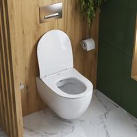 Унитаз подвесной безободковый с функцией биде CEZARES COMFORT арт-CZR-191-TH/BS/CZR-2316-SC — фото 11, Подвесные унитазы