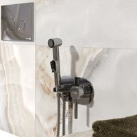 Main Встраиваемый смеситель для душа с гигиенической лейкой арт-4138 — фото 1, Гигиенические души