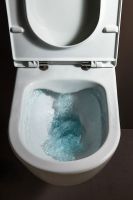 Унитаз Laufen Pro Rimless 8.2096.6 подвесной без сиденья арт-8.2096.6.000.000.1 — фото 5, Подвесные унитазы