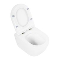 Унитаз подвесной безободковый CEZARES STYLUS-TOR арт-CZR-6601-TH-TOR/CZR-870-SC — фото 3, Подвесные унитазы