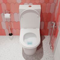 Унитаз компакт Iddis Stone с бачком и сиденьем Микролифт арт-STNRDSEi24 — фото 6, Напольные унитазы