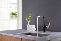 Товар: Смеситель для кухни Lemark Ursus Черный матовый Золото арт-LM7205BLR - фото 2 Смеситель для кухни Lemark Ursus Черный матовый Золото арт-LM7205BLR — фото 2, Смесители для кухни