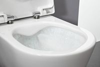 Унитаз Laufen Pro Rimless 8.2096.6 подвесной без сиденья арт-8.2096.6.000.000.1 — фото 4, Подвесные унитазы