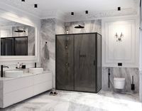 Душевой уголок Ambassador Forsa 110х80 профиль Черный стекло тонированное арт-17022217ABB-80ABB — фото 7, Прямоугольные душевые уголки