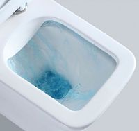 Товар: Унитаз компакт Iberica Blanca Toledo с бачком и сиденьем Микролифт арт-IB.TLD.121.1B1 - фото 2 Унитаз компакт Iberica Blanca Toledo с бачком и сиденьем Микролифт арт-IB.TLD.121.1B1 — фото 2, Напольные унитазы