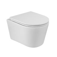 Унитаз подвесной безободковый с сиденьем CEZARES LINER арт-CZR-38083-49-TH-TOR/SC — фото 1, Подвесные унитазы