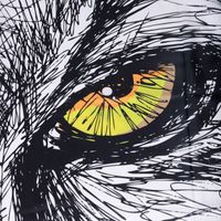 Isar SC- Шторка для ванной арт-73101 — фото 4, Шторы для ванной