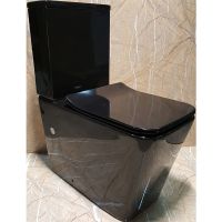 Унитаз компакт CeramaLux с бачком и сиденьем Микролифт арт-NS-2170-18 — фото 1, Напольные унитазы