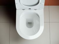 Напольный пристенный унитаз Highlight Rimless арт-CN1802 — фото 4, Напольные унитазы