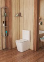 Унитаз компакт Owl 1975 VatterRuta-G без бачка с сиденьем Микролифт арт-OWLT190402 — фото 6, Напольные унитазы