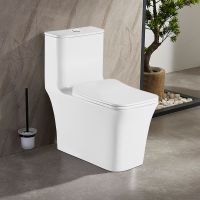 Унитаз моноблок Azario Gressa с бачком и сиденьем Микролифт арт-AZ-1111 — фото 1, Напольные унитазы