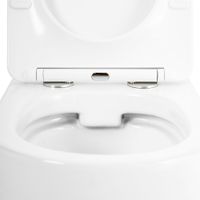 Товар: Унитаз подвесной безободковый CEZARES STYLUS арт-CZR-513-TH-R/CZR-2316-SC - фото 8 Унитаз подвесной безободковый CEZARES STYLUS арт-CZR-513-TH-R/CZR-2316-SC — фото 8, Подвесные унитазы