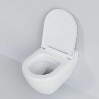 Унитаз Ambassador Nord подвесной Белый матовый без сиденья арт-133T20101 — фото 6, Подвесные унитазы