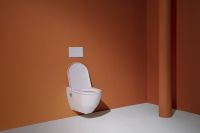 Унитаз биде Laufen Navia подвесной с сиденьем арт-8.2060.1.400.000.1 — фото 2, Подвесные унитазы