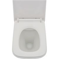 Комплект унитаза AQUAme AQM2004 с инсталляцией Alcaplast Sadromodul AM101/1120-3:1 RU M71-0001 с сид арт-AQM2004+AM101/1120-3:1 RU M71-0001 — фото 8, Комплекты унитаз + инсталляция