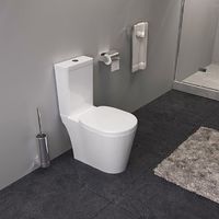 Унитаз компакт Iddis Calipso с бачком и сиденьем Микролифт арт-CAL2DSEi24 — фото 3, Напольные унитазы